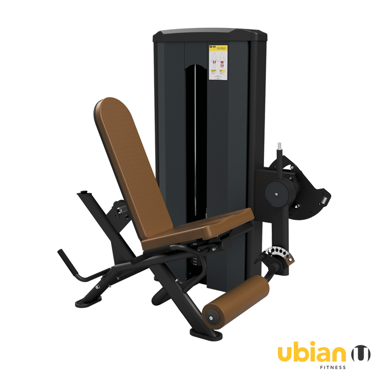 Equipamento Flexora Extensora